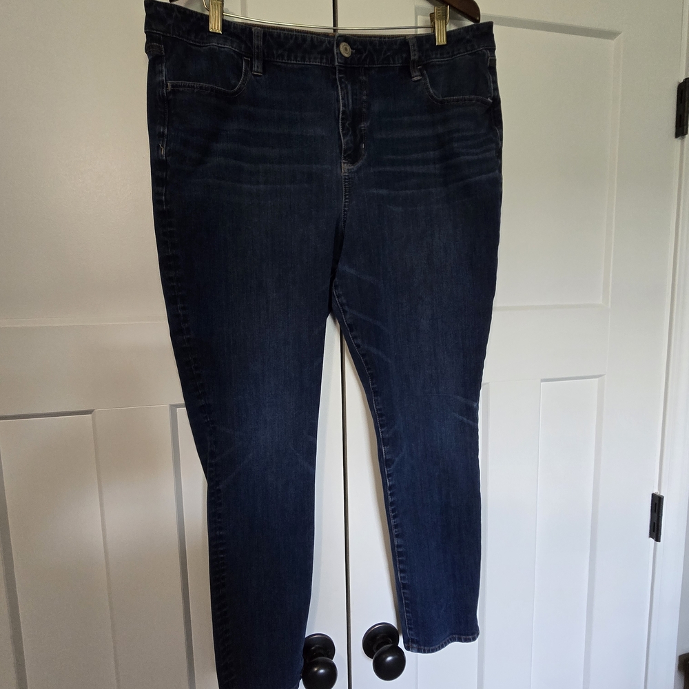 American Eagle Outfitters Blue Skinny Jeans